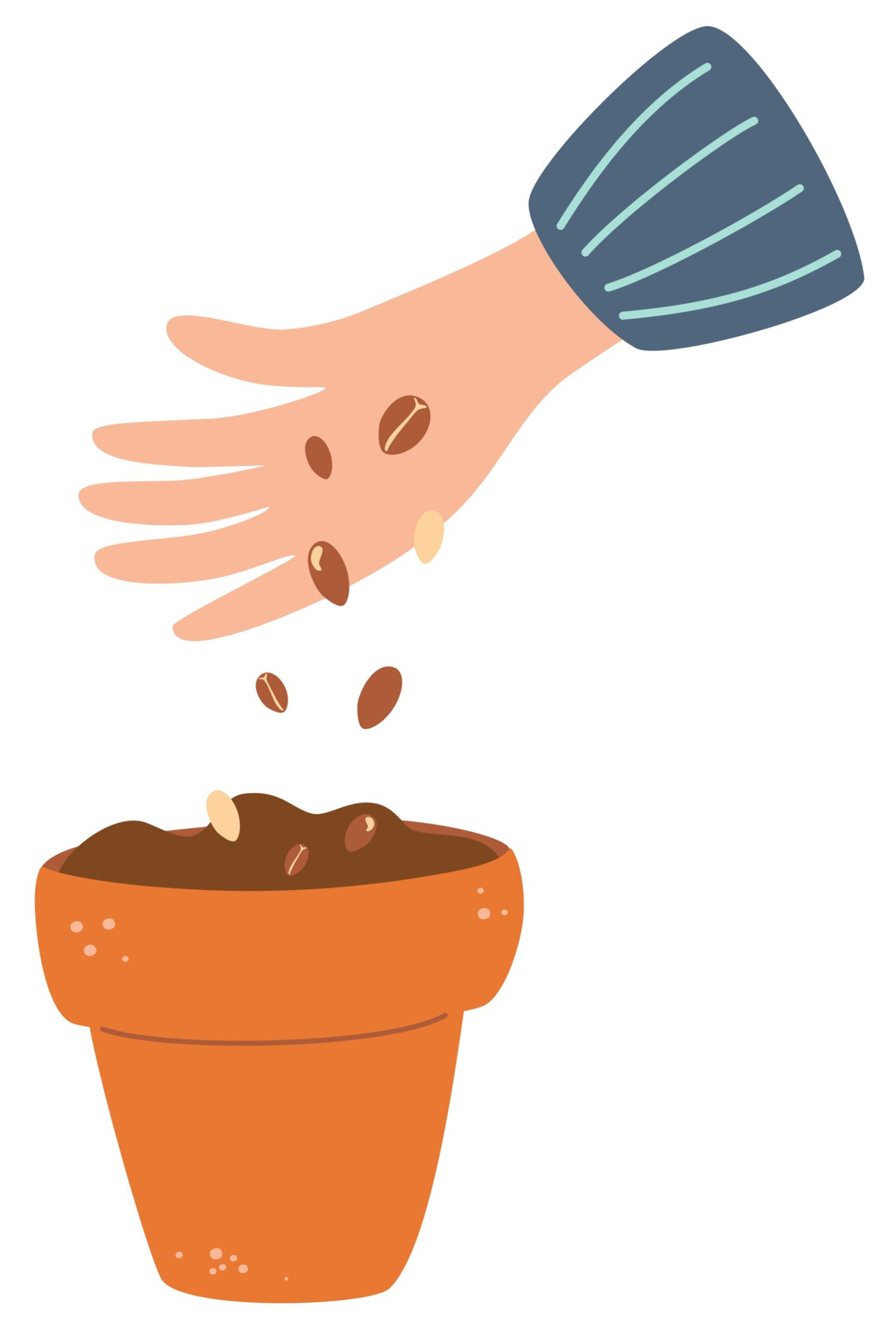 hand + seeds